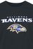 NFL Ravens logo