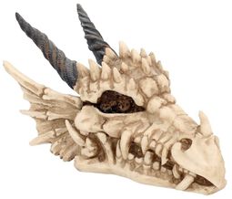 Krabička Dragon Skull, Nemesis Now, Dekoračné Predmety