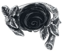 Prsteň Wild Black Rose, Alchemy Gothic, Prsteň
