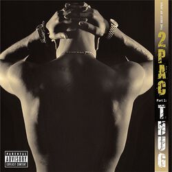 The Best Of 2Pac - Pt.1: Thug, Tupac Shakur, CD